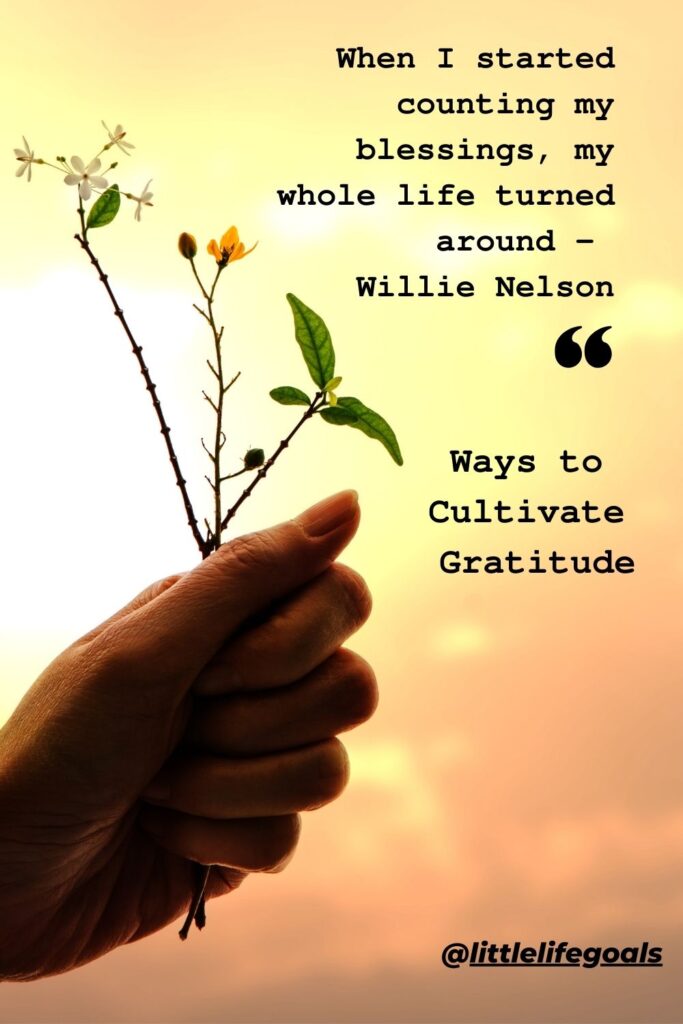 Ways to cultivate gratitude and appreciation